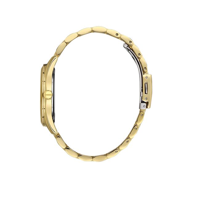 Ceas Daniel Klein Premium DK.1.13340.3