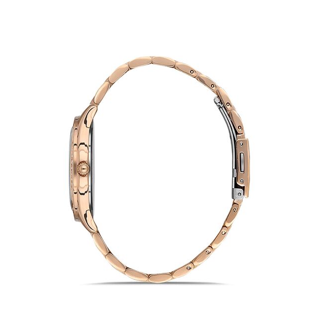 Ceas Daniel Klein Premium DK.1.13342.6