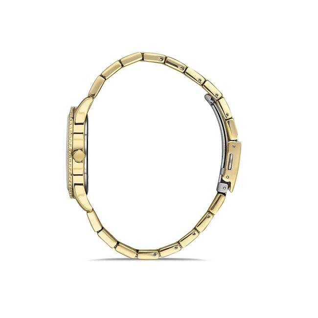 Ceas Daniel Klein Premium DK.1.13397.2