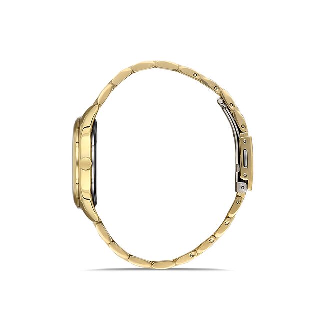 Ceas Daniel Klein Premium DK.1.13398.3