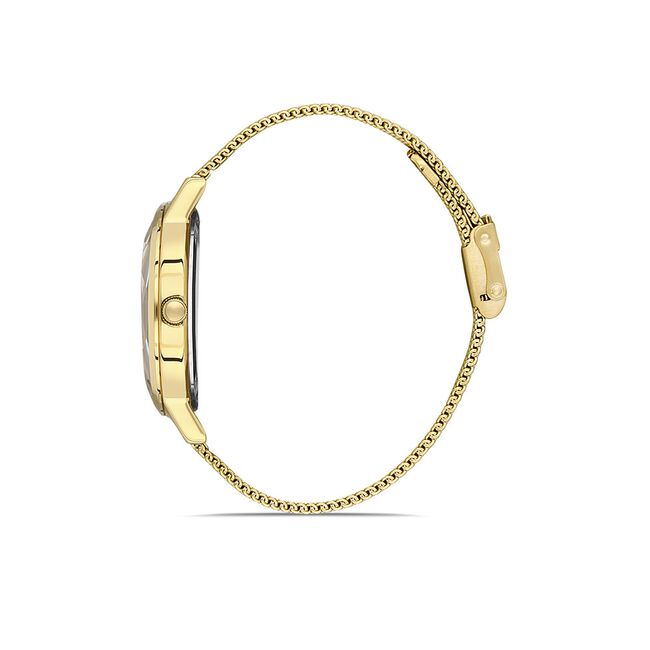 Ceas Daniel Klein Premium DK.1.13406.3