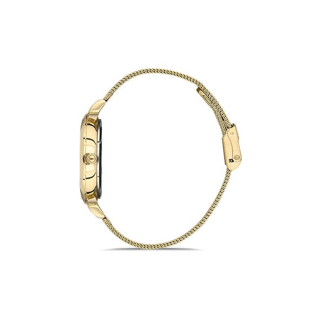 Ceas Daniel Klein Premium DK.1.13416.4