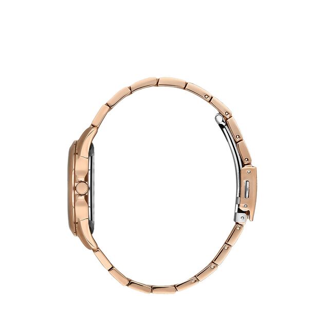 Ceas Daniel Klein Premium DK.1.13418.5