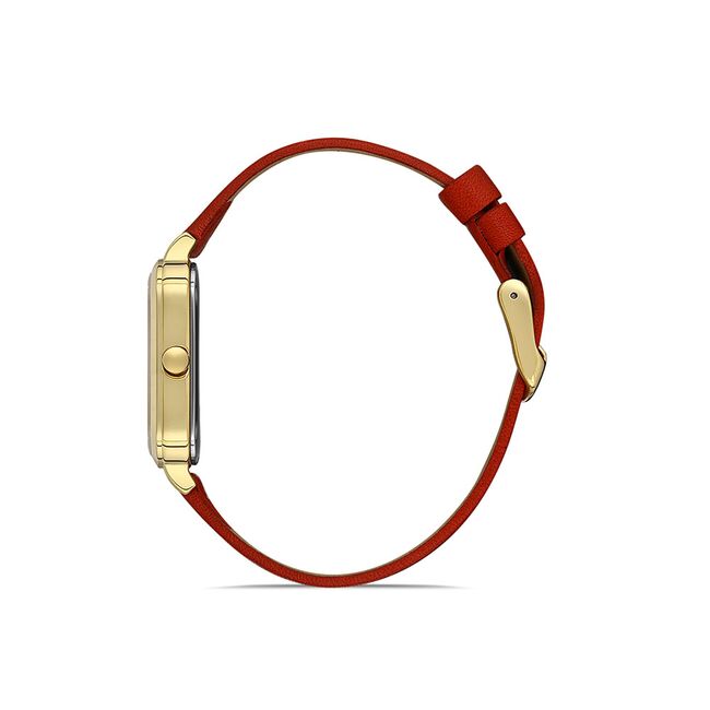 Ceas Daniel Klein Premium DK.1.13431.3