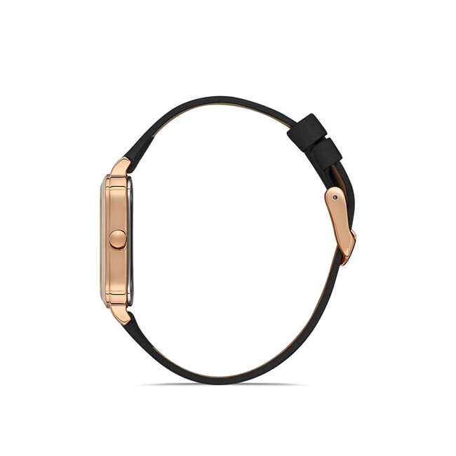 Ceas Daniel Klein Premium DK.1.13431.5