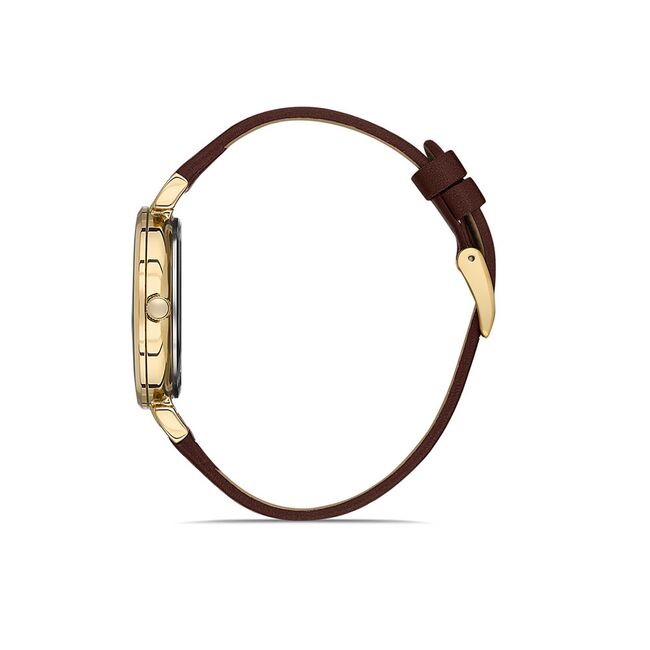 Ceas Daniel Klein Premium DK.1.13438.2