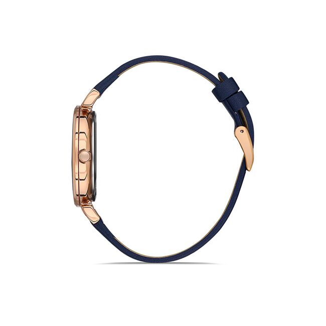 Ceas Daniel Klein Premium DK.1.13438.6