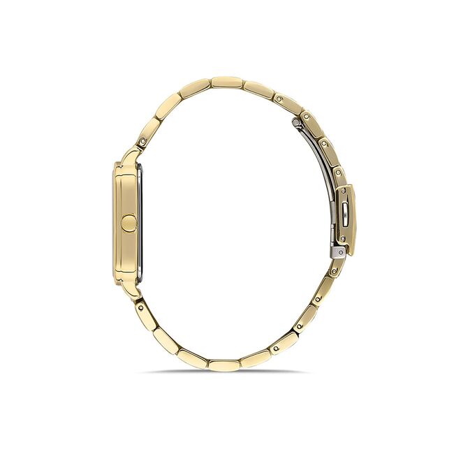 Ceas Daniel Klein Premium DK.1.13450.2