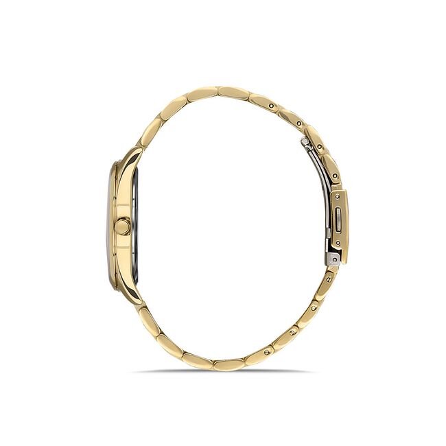 Ceas Daniel Klein Trendy DK.1.13353.4