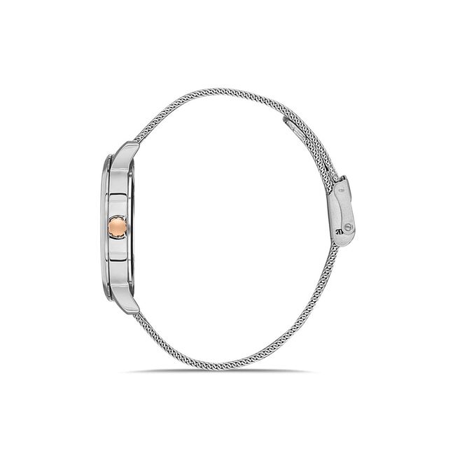 Ceas Daniel Klein Trendy DK.1.13354.6