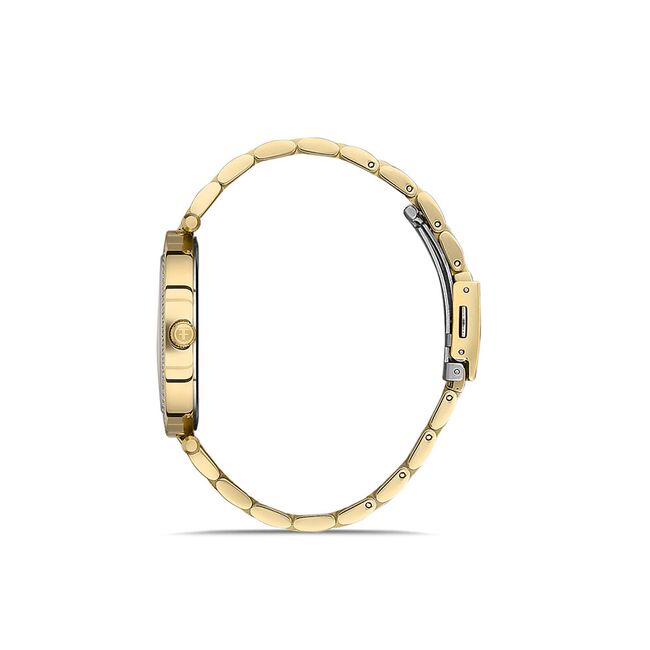 Ceas Freelook Lumiere FL.1.10370.3