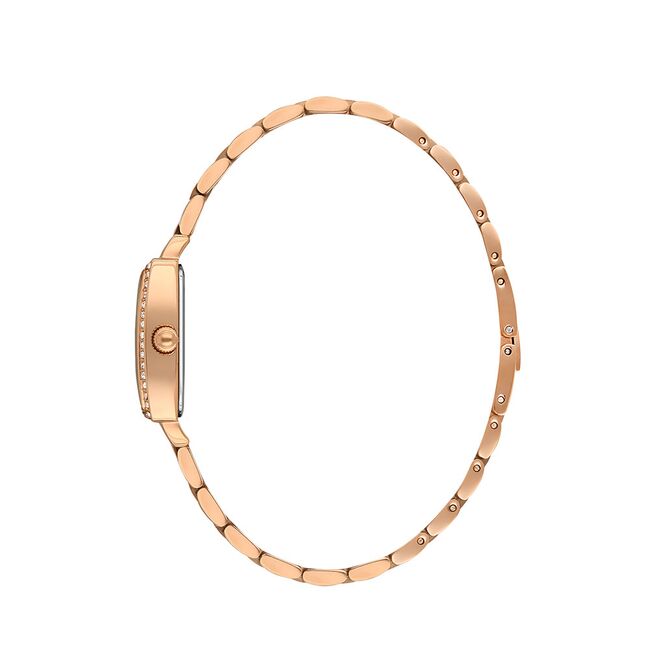 Ceas Daniel Klein Premium DK.1.13480.5