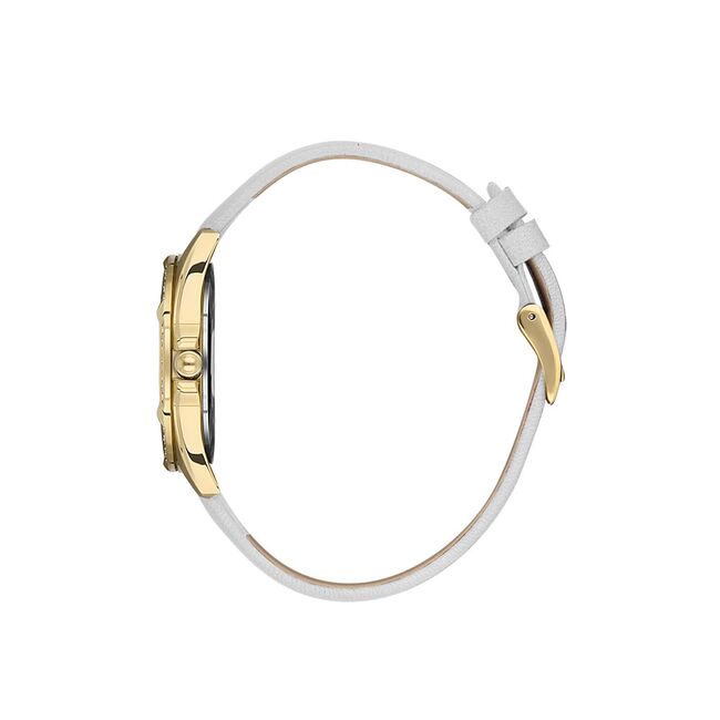 Ceas Daniel Klein Premium DK.1.13485.2