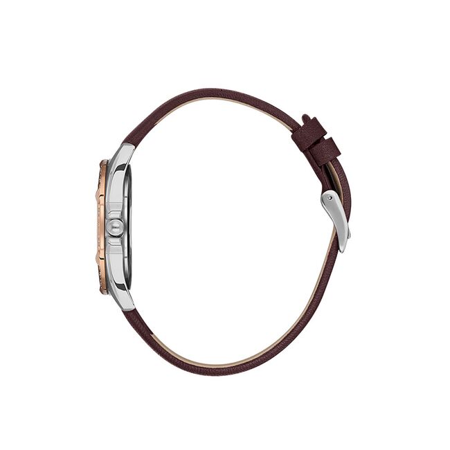 Ceas Daniel Klein Premium DK.1.13485.4