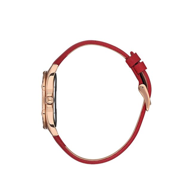 Ceas Daniel Klein Premium DK.1.13485.6