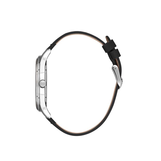 Ceas Daniel Klein Premium DK.1.13517.1