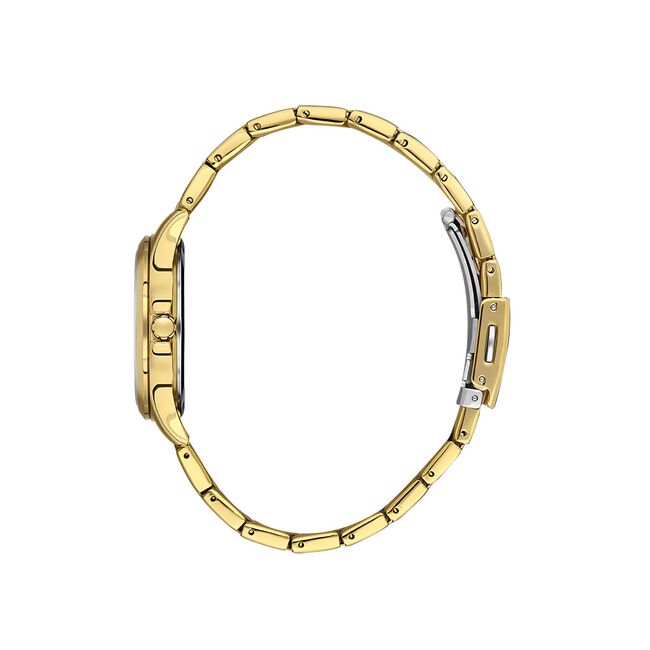 Ceas Daniel Klein Arcadia DK.1.13561.3