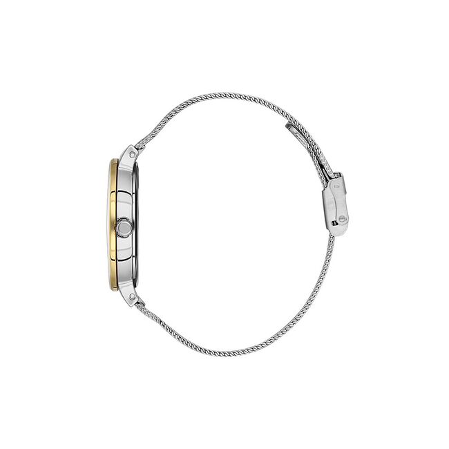 Ceas Daniel Klein Fiord DK.1.13477.2