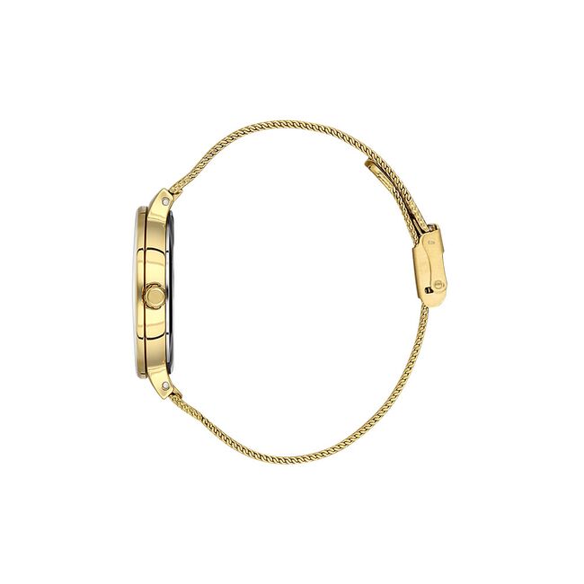 Ceas Daniel Klein Fiord DK.1.13477.3