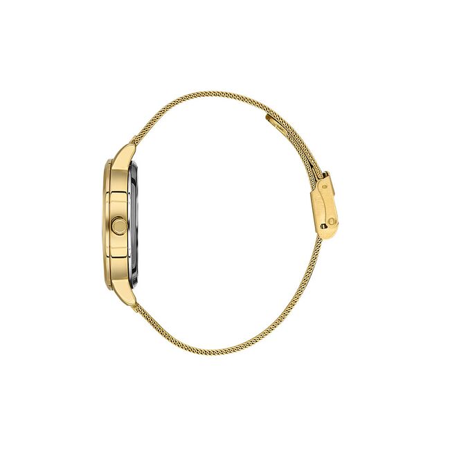 Ceas Daniel Klein Premium DK.1.13456.4