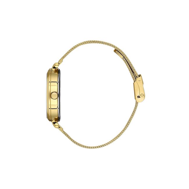 Ceas Daniel Klein Premium DK.1.13469.4