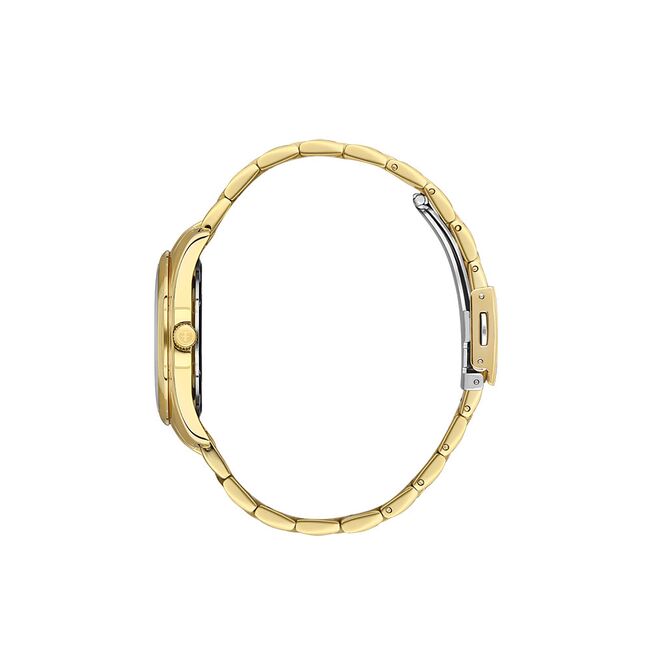 Ceas Freelook Jolie FL.1.10414.3