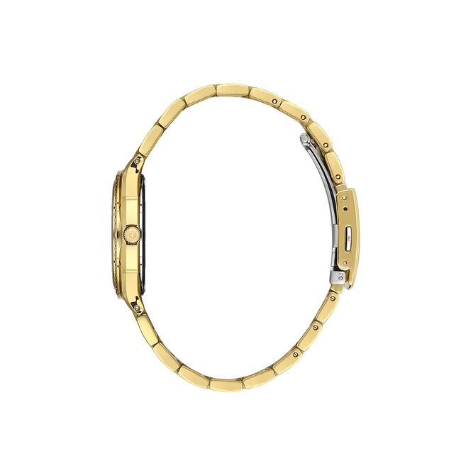 Ceas Freelook Naturelle FL.1.10397.2