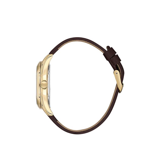 Ceas Daniel Klein Arcadia DK.1.13692.3