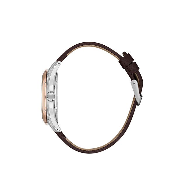 Ceas Daniel Klein Arcadia DK.1.13692.8