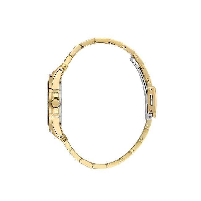 Ceas Daniel Klein Premium DK.1.13585.3