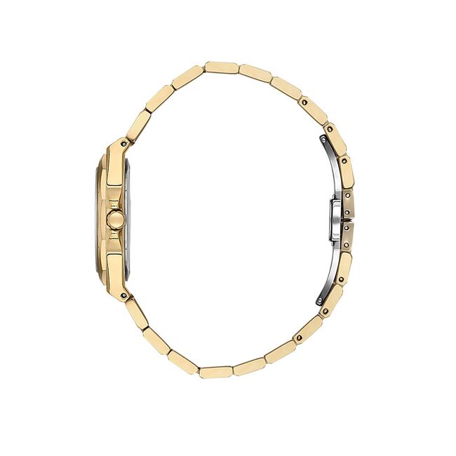 Ceas Daniel Klein Premium DK.1.13611.5