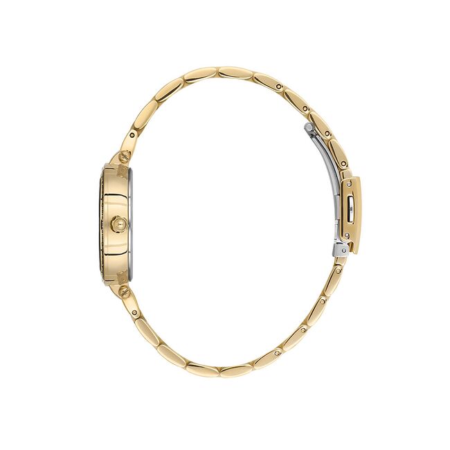 Ceas Daniel Klein Premium DK.1.13621.3