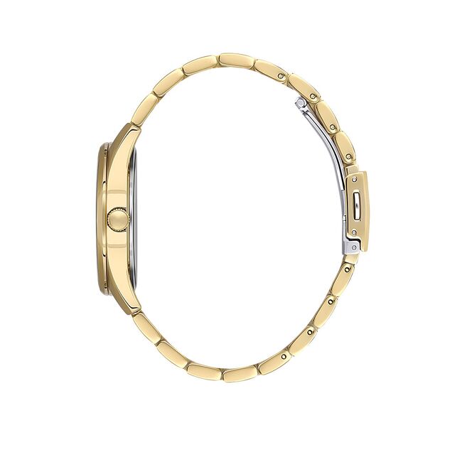 Ceas Daniel Klein Premium DK.1.13624.4