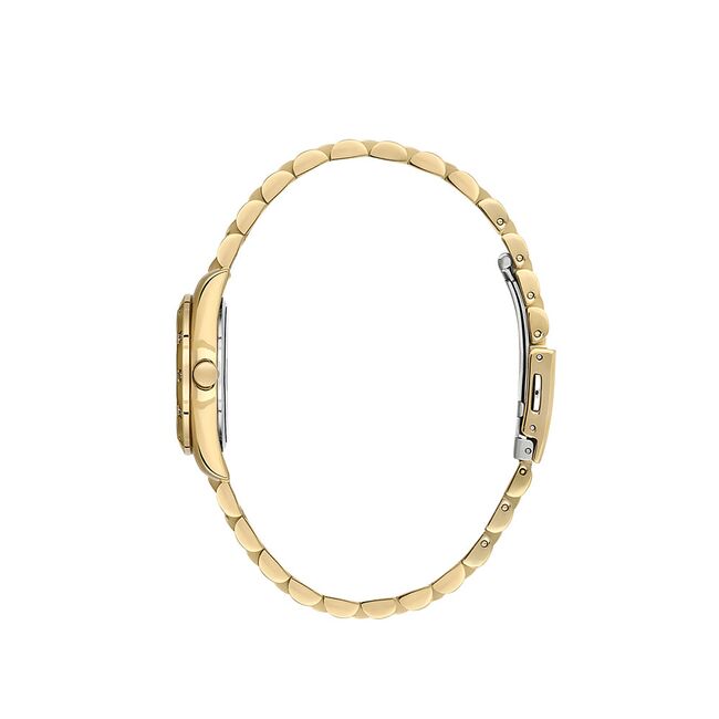 Ceas Daniel Klein Premium DK.1.13706.3