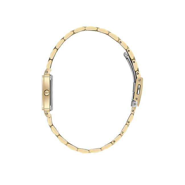 Ceas Daniel Klein Premium DK.1.13725.2