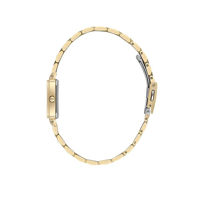 Ceas Daniel Klein Premium DK.1.13725.3