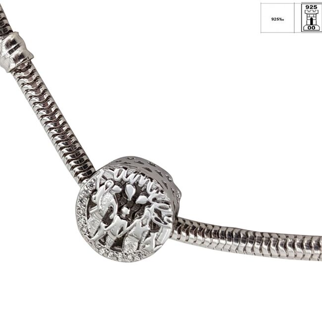 Talisman argint famillie