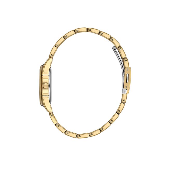 Ceas Daniel Klein Arcadia DK.1.13846.2