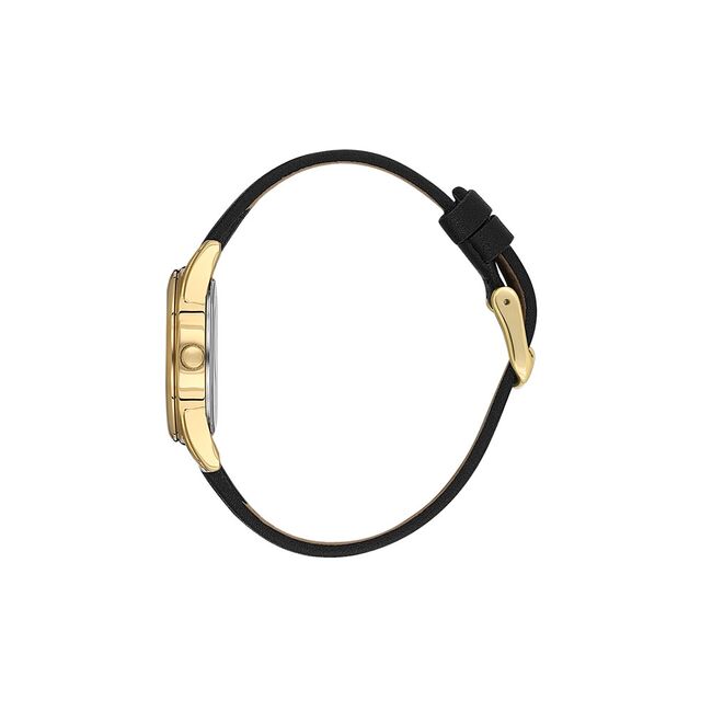 Ceas Daniel Klein Arcadia DK.1.13847.2