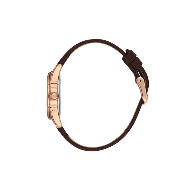 Ceas Daniel Klein Arcadia DK.1.13847.3