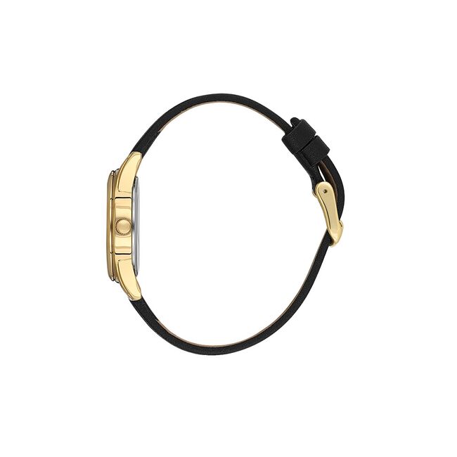 Ceas Daniel Klein Arcadia DK.1.13847.4