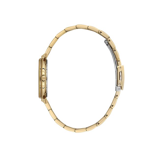 Ceas Daniel Klein Premium DK.1.13768.3