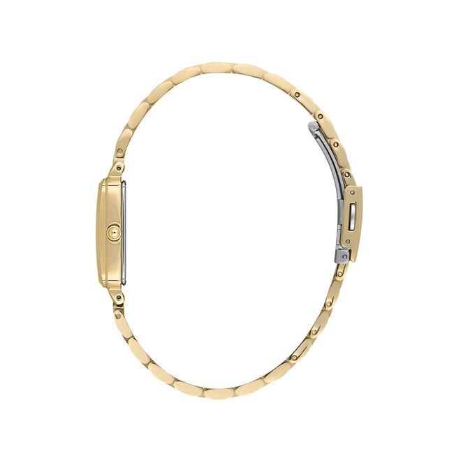 Ceas Daniel Klein Premium DK.1.13775.2