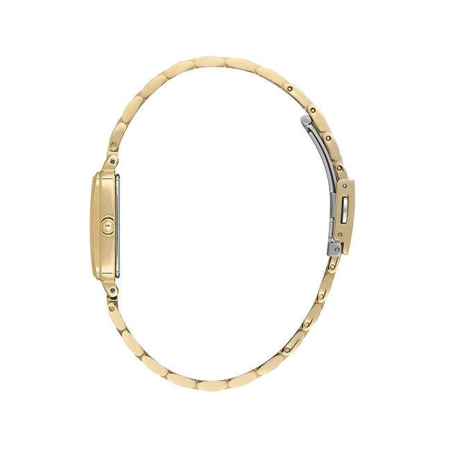 Ceas Daniel Klein Premium DK.1.13775.3