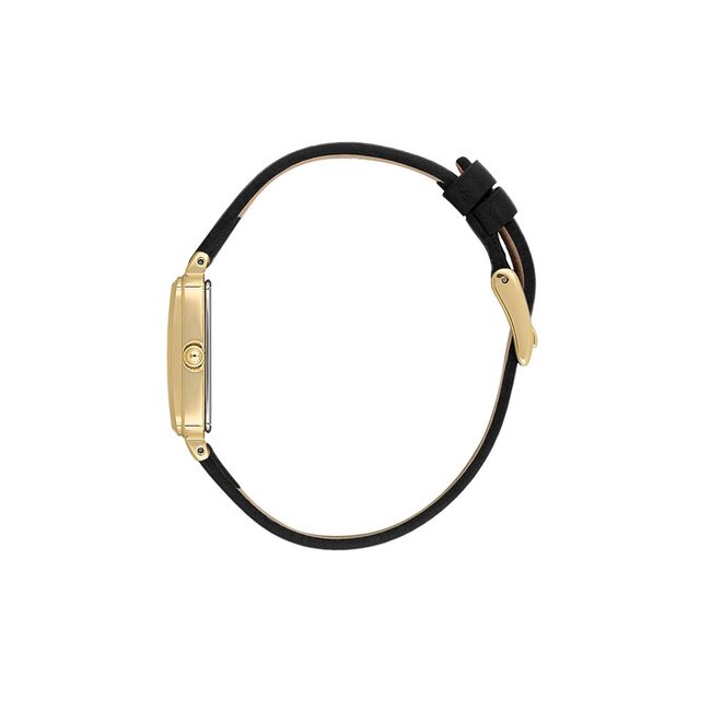 Ceas Daniel Klein Premium DK.1.13776.3