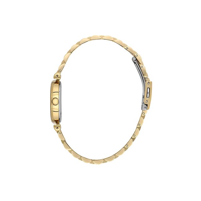 Ceas Daniel Klein Premium DK.1.13777.2