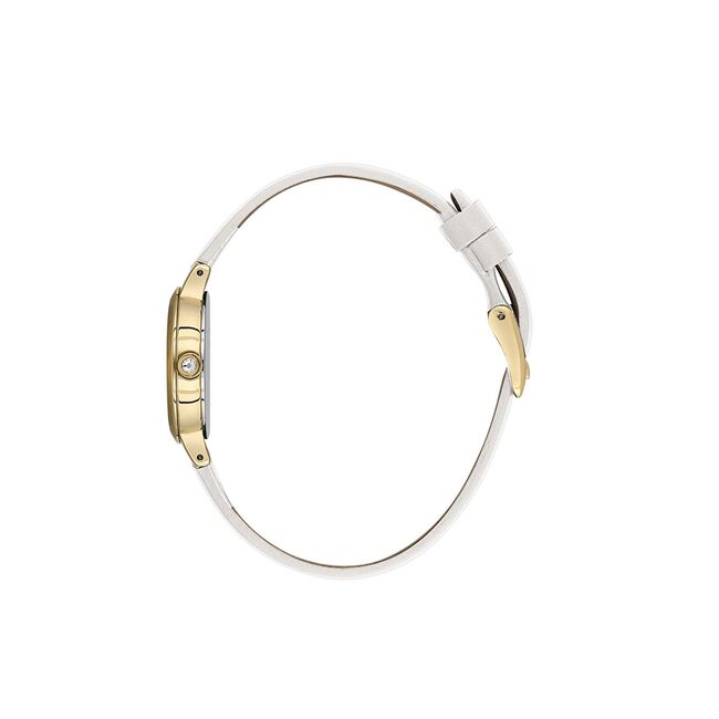 Ceas Daniel Klein Premium DK.1.13780.4