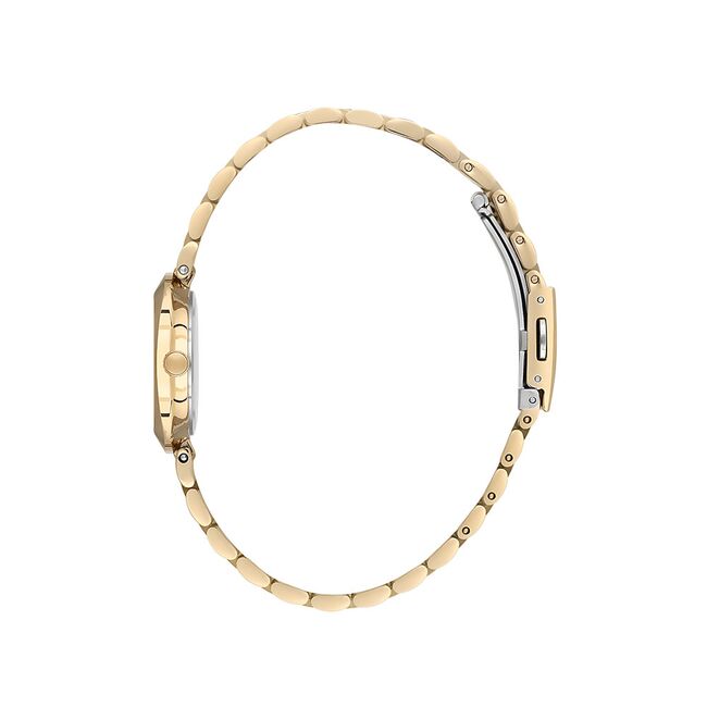 Ceas Daniel Klein Premium DK.1.13788.3