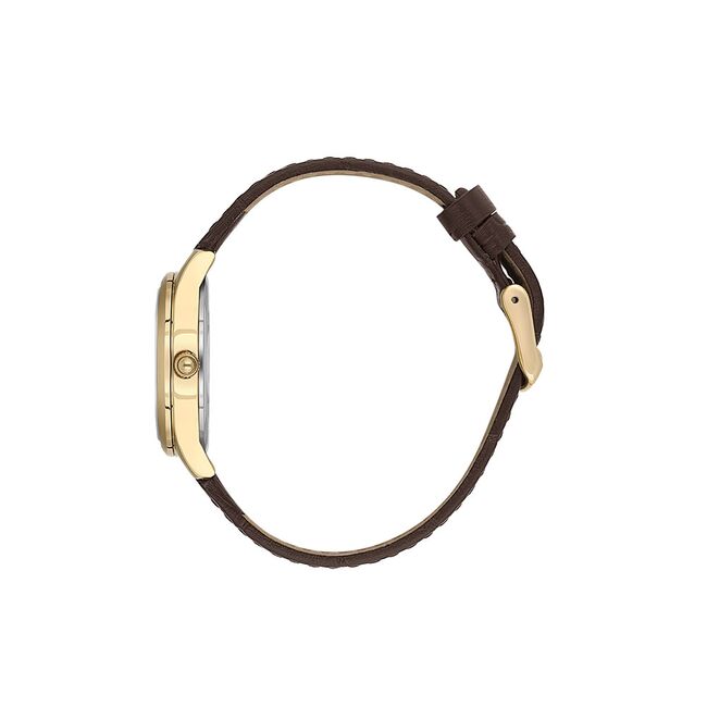 Ceas Daniel Klein Premium DK.1.13790.3