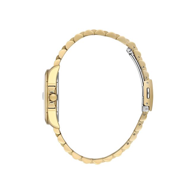 Ceas Daniel Klein Premium DK.1.13830.4